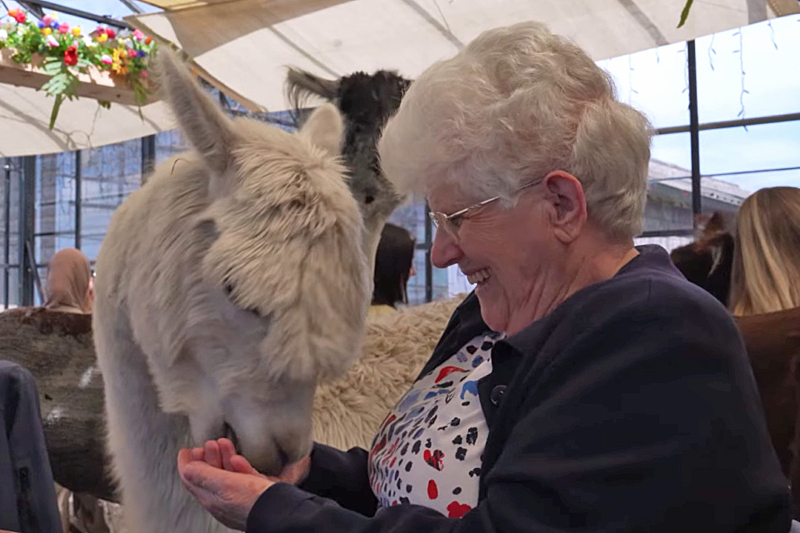PUUR geluksmomentje Alpaca 1 PUUR geluksmomentje Alpaca 1