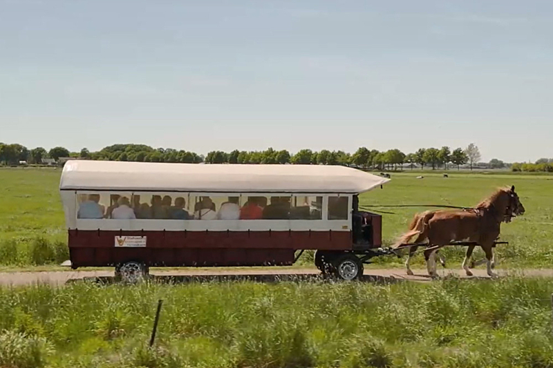 PUUR geluksmomentje Paardentram header image PUUR geluksmomentje Paardentram header image