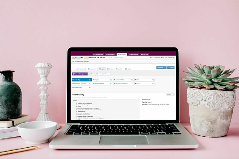 Voorbeeld zorgplannen in PUUR