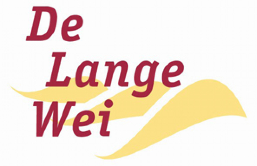 Logo de lange wei