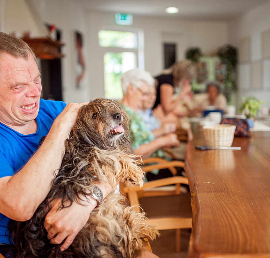 Dagbesteding huisdier