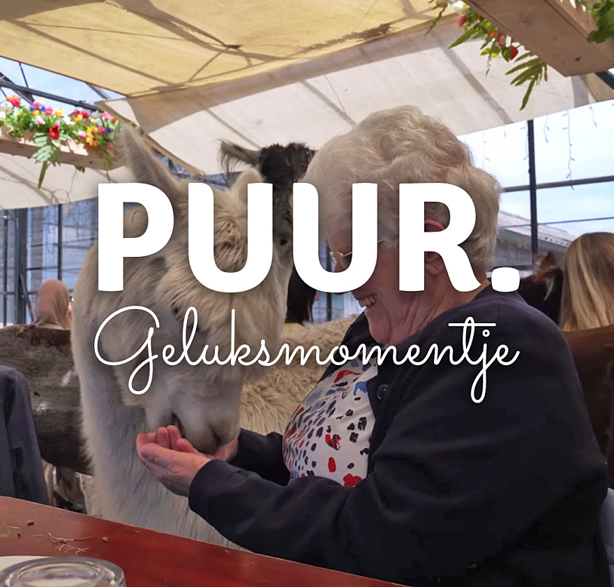 PUUR geluksmomentje Alpaca PUUR geluksmomentje Alpaca